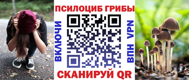 купить наркотик  Шацк  Галлюциногенные грибы GOLDEN TEACHER 